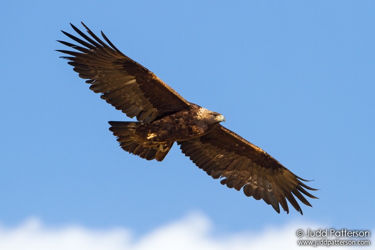 Golden Eagle, Jackson County, Colorado, United States