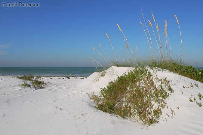 Beach Dune, Fort De Soto Park, Florida, United States