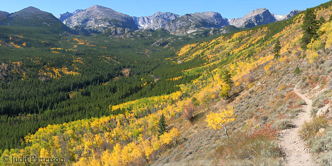 Golden Fall, Rocky Mountain National Park, Colorado, United States