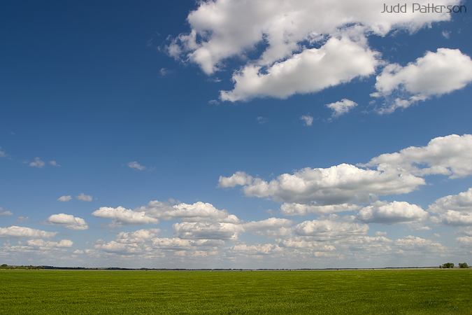 Big Sky over Wheat, Great Bend, Kansas, United States
