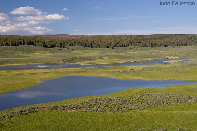 Hayden Valley, Yellowstone National Park, Wyoming, United States