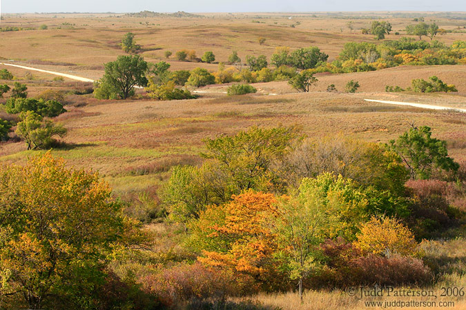 Fall Touches the Prairie, Maxwell Game Preserve, Kansas, United States