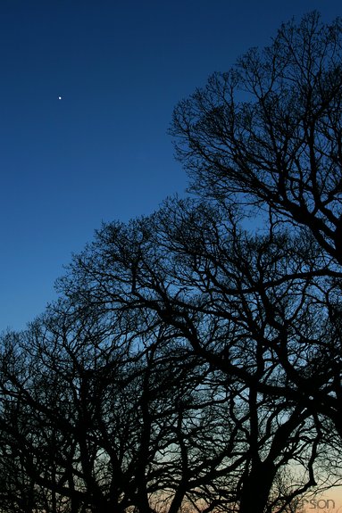 Venus at Twilight, Konza Prairie, Kansas, United States
