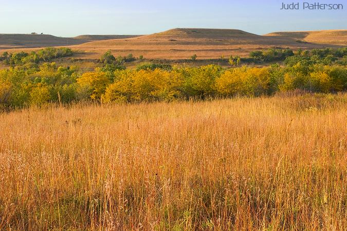 Prairie of the Flint Hills, Konza Prairie, Kansas, United States