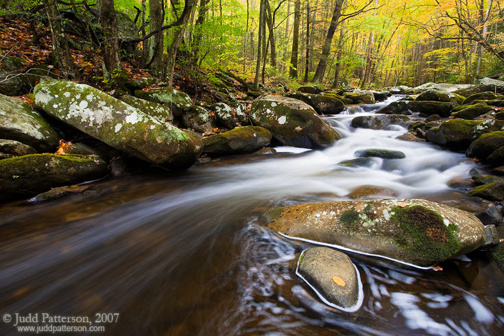 Smokies Stream, Great Smoky Mountains National Park, Tennessee, United States