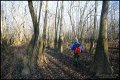 Through the unflooded forest