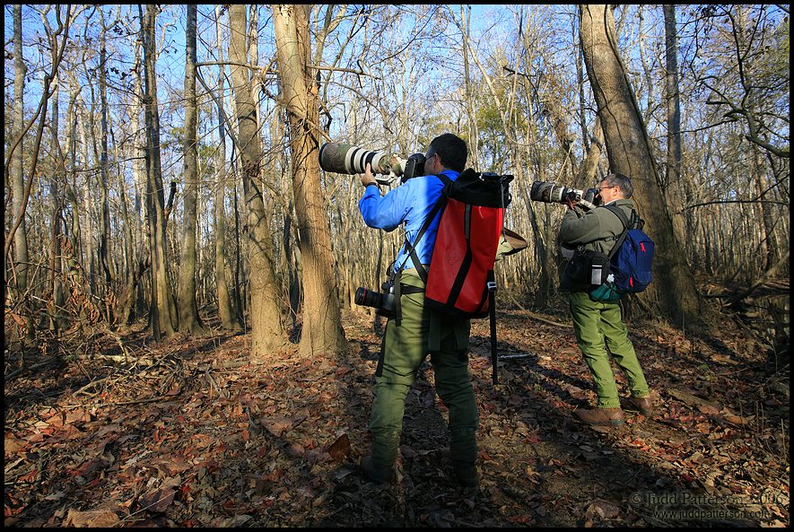 Practicing our technique on Pileated Woodpecker fly-bys