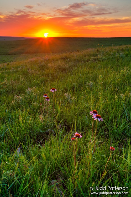 Land of Sunsets, Tallgrass Prairie National Preserve, Kansas, United States