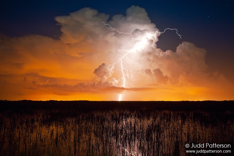 Strike, Everglades National Park, Florida, United States
