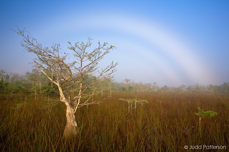 Fogbow, Everglades National Park, Florida, United States