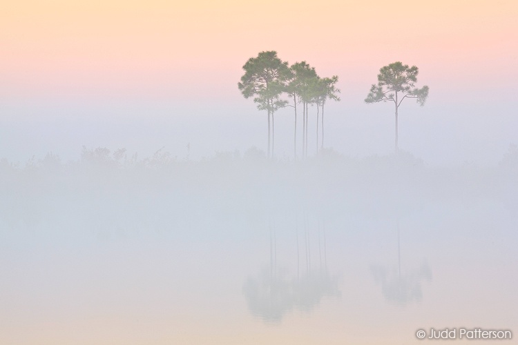 Dawn Revealed, Everglades National Park, Florida, United States