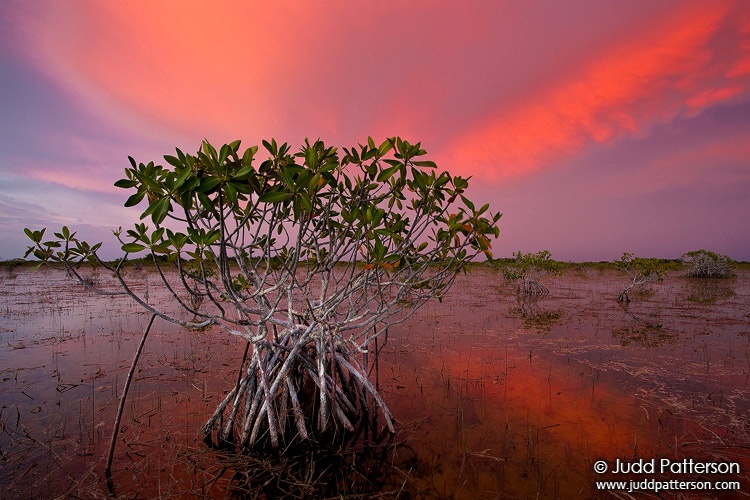 Red Sunset, Everglades National Park, Florida, United States