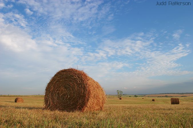 Freshly bailed hay, Saline County, Kansas, United States