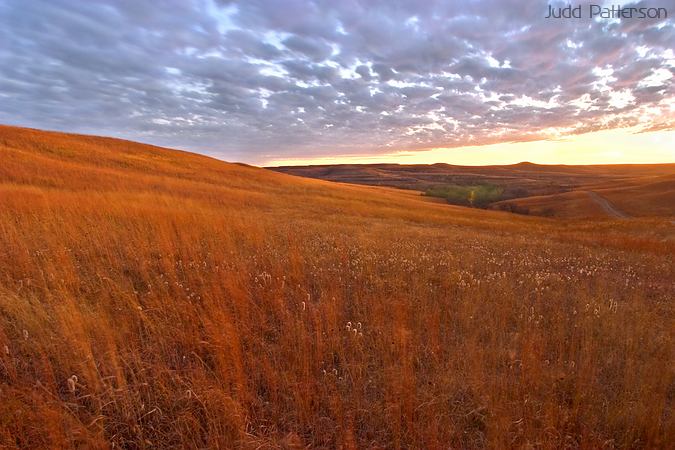 Prairie at Dusk, Konza Prairie, Kansas, United States