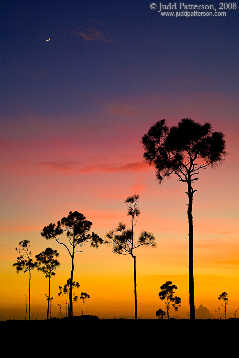 Moonrise, Everglades National Park, Florida, United States