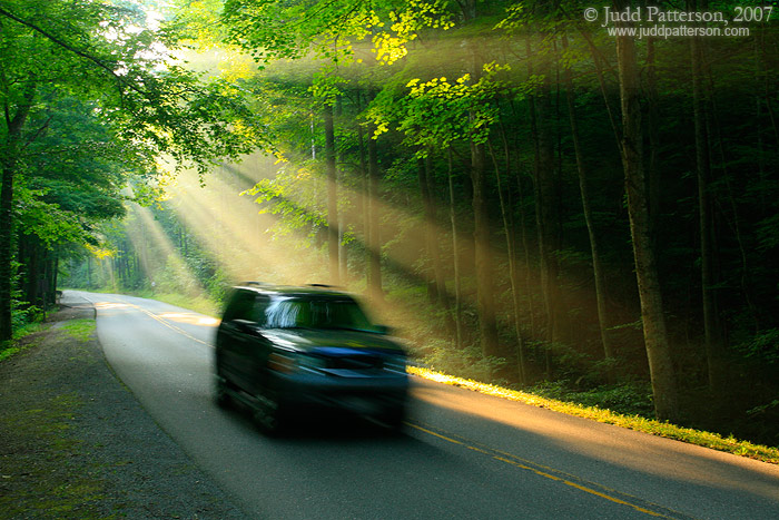 Morning Drive, Great Smoky Mountains National Park, Tennessee, United States