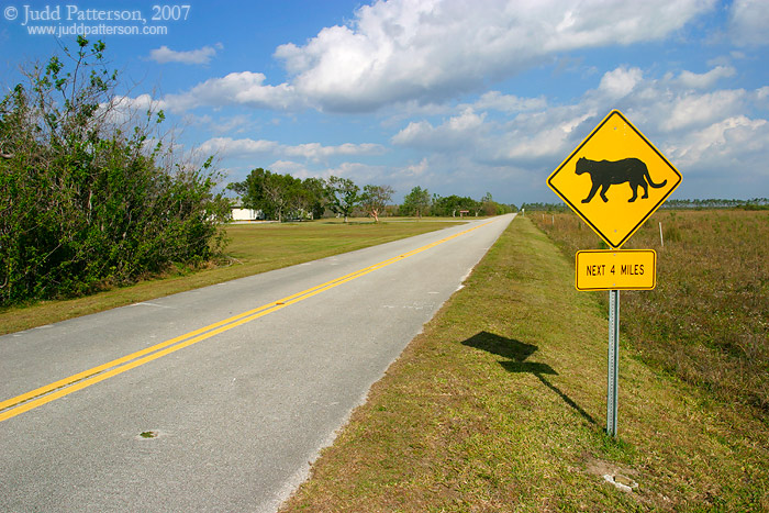 , Everglades National Park, Florida, United States