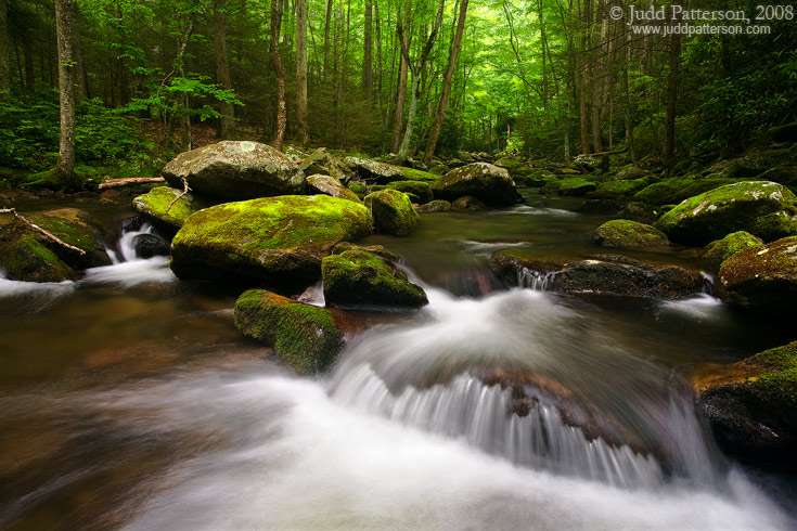 Flow, Great Smoky Mountains National Park, Tennessee, United States