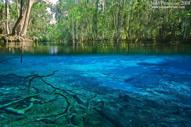 Crystal Clear, Three Sisters Spring, Crystal River, Florida, United States