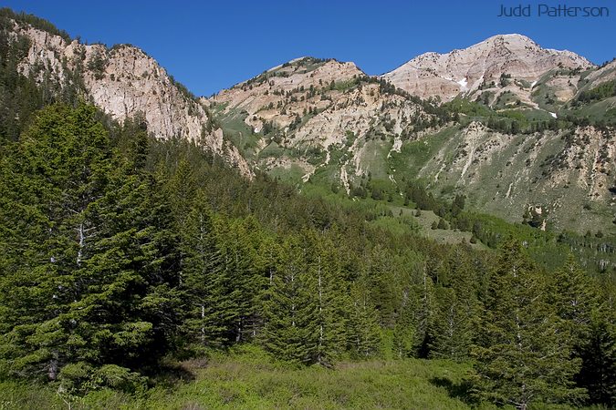 View along the hike to Deseret Peak, Wasatch-Cache Nat. Forest, Utah, United States